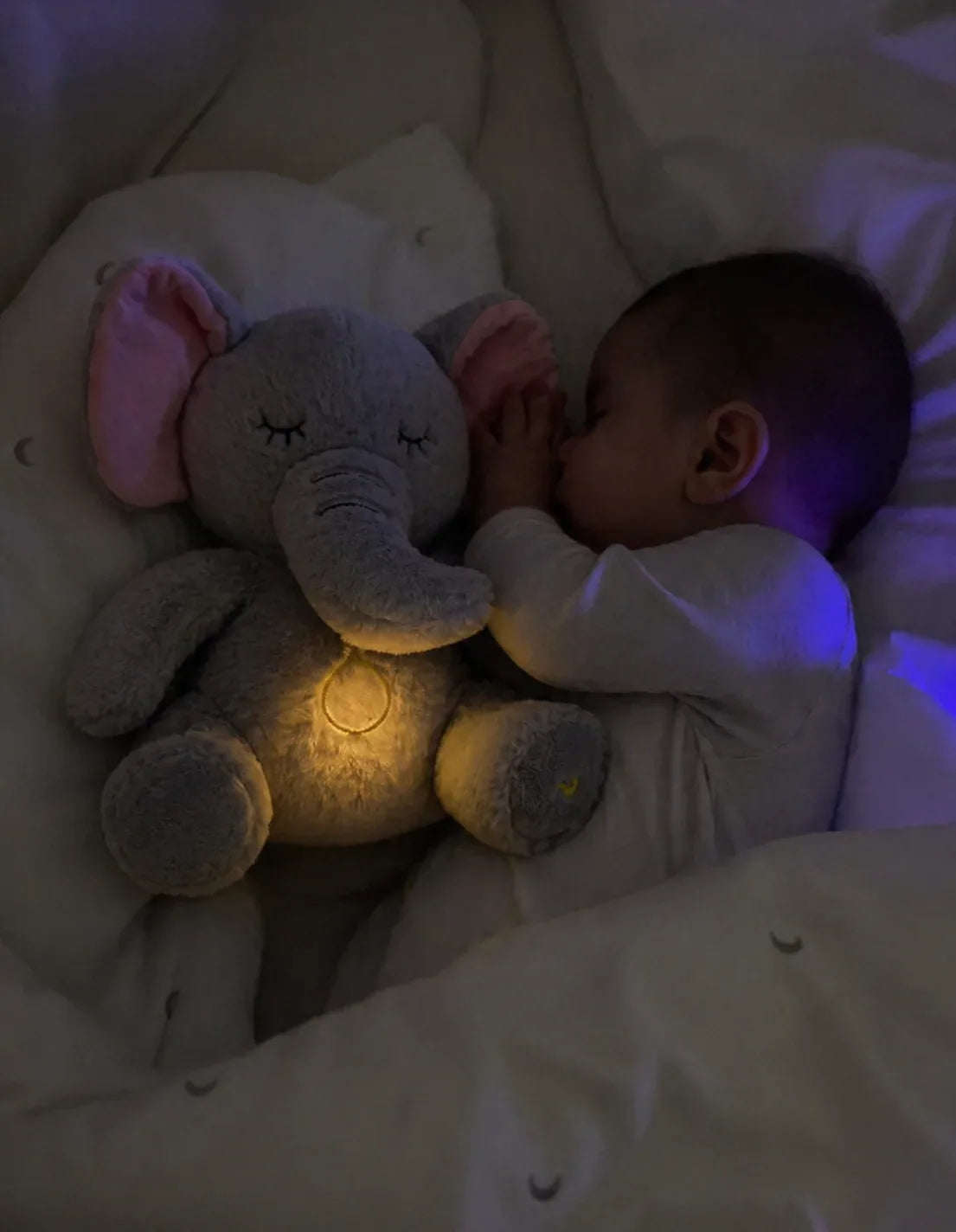 13e7e03d-7efb-43f6-a86e-bcdcd01534bf - DreamHug™