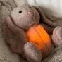 81W1SrEC4HL._AC_UF894_1000_QL80_56ea9168-ddb6-4792-b1e9-00af8f4dceb0 - DreamHug™