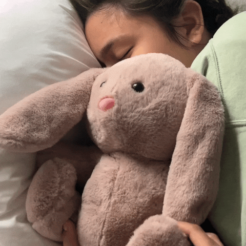 InShot_20250418_172716833_5b989461-b117-4f68-8663-6a9b72d6ead2 - DreamHug™