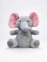 d19f21cd-cf13-4251-b28c-a17e2620bb87 - DreamHug™