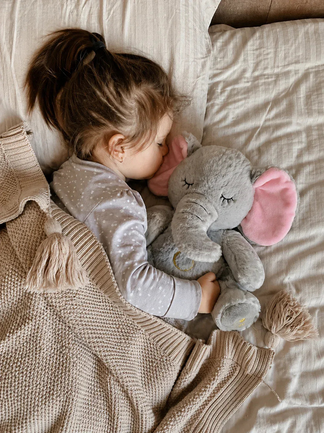 fc2e9cc1-5472-457a-a364-531565fac9fd - DreamHug™
